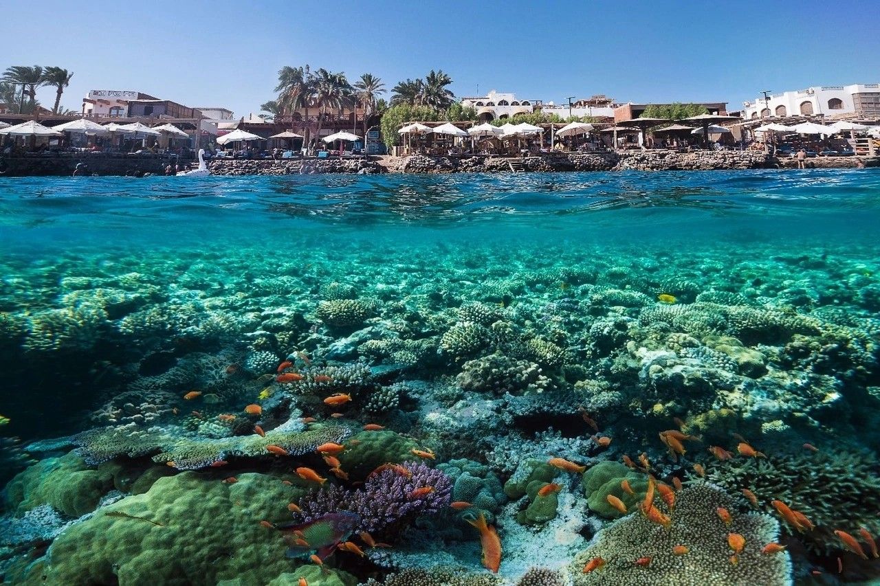 SHARM DA OTEL TATİLİ